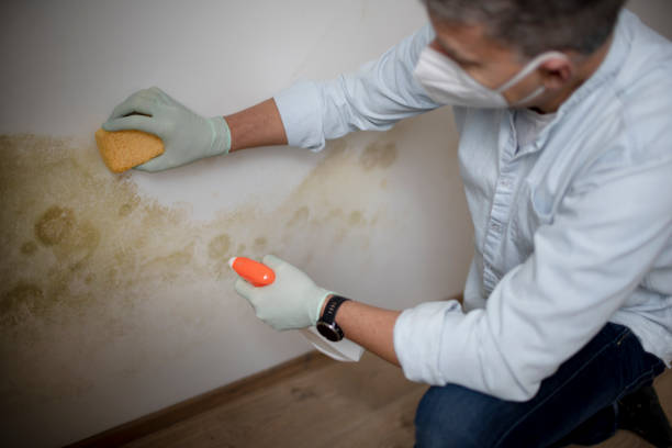 Crawl Space Mold Removal in Cottonwood Shores, TX